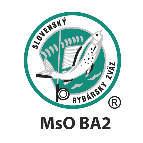 MSO_BA